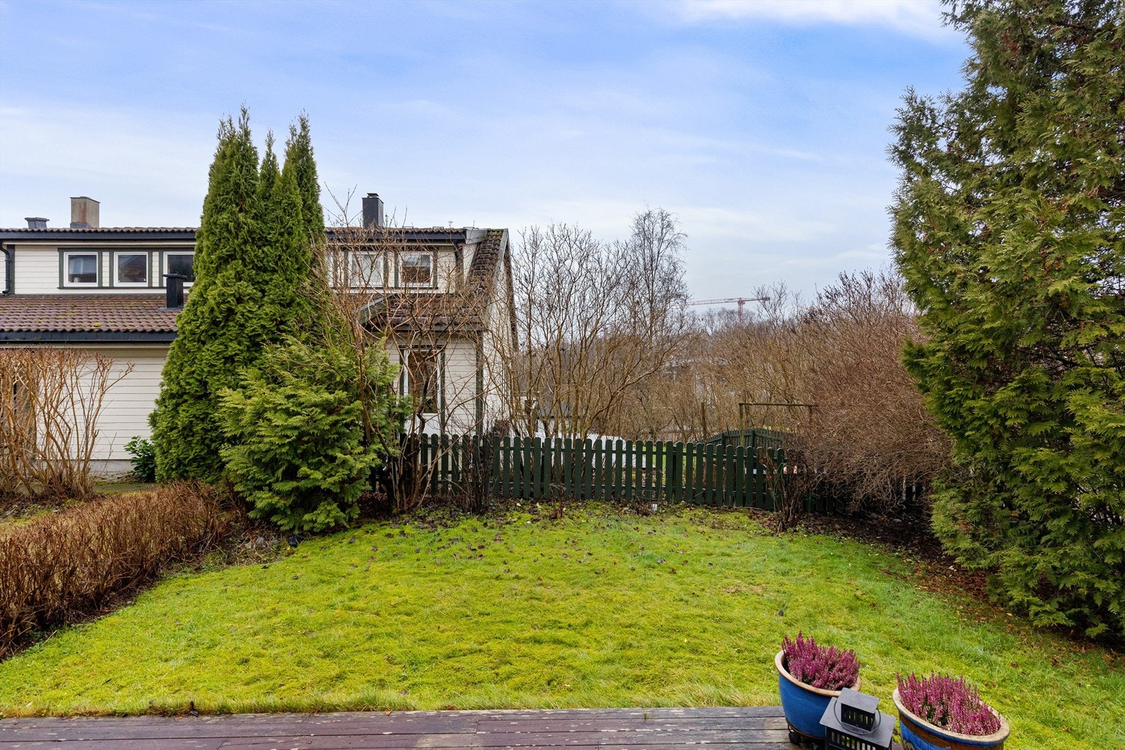 Fin og solrik hage Galleribilde