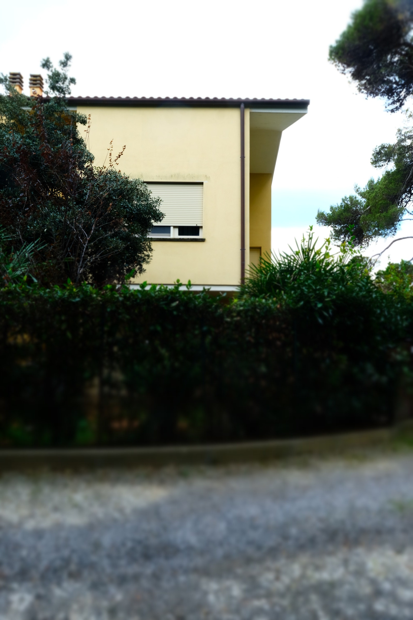 Boligen Galleribilde