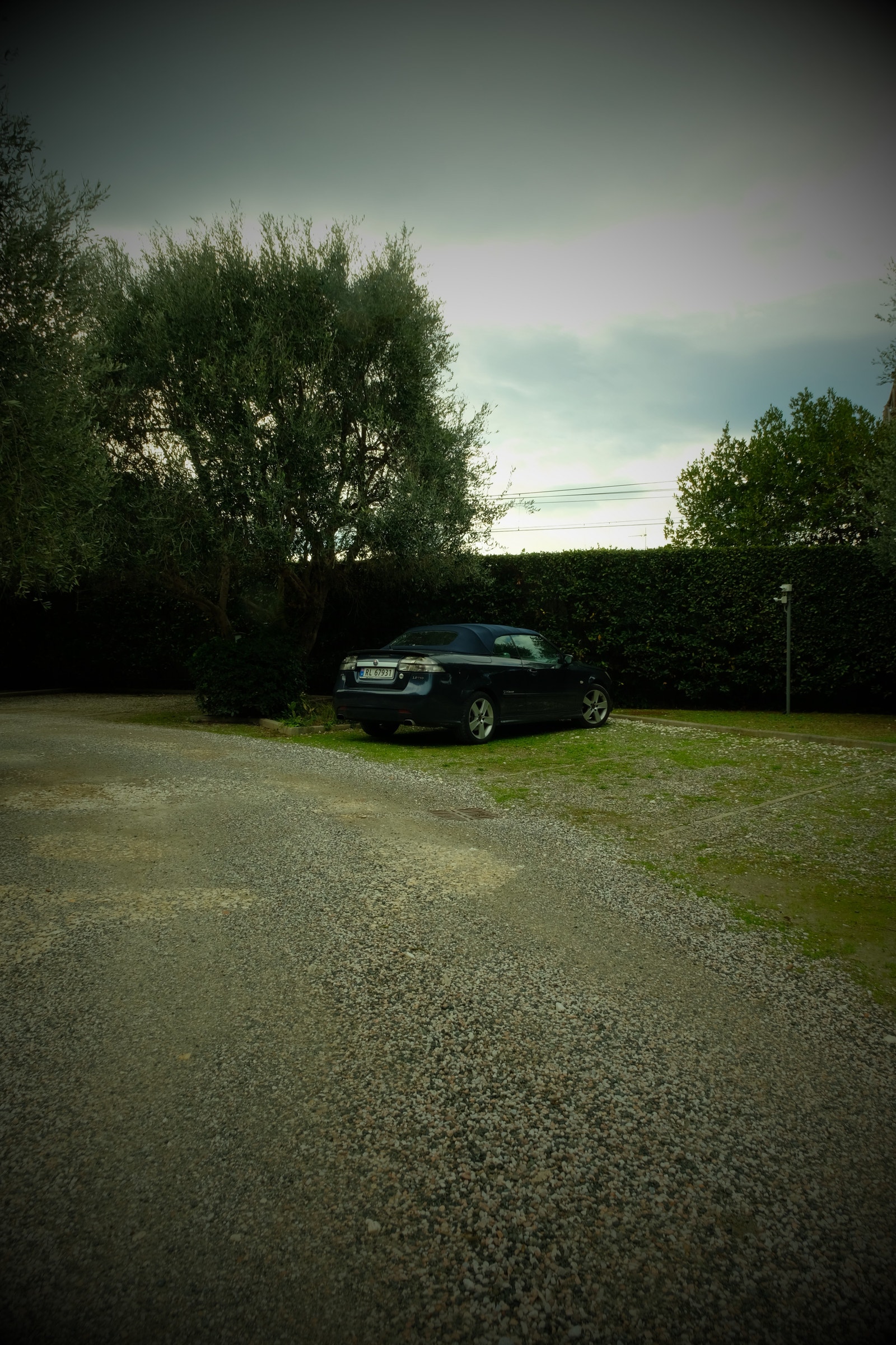 Felles stor hage Galleribilde