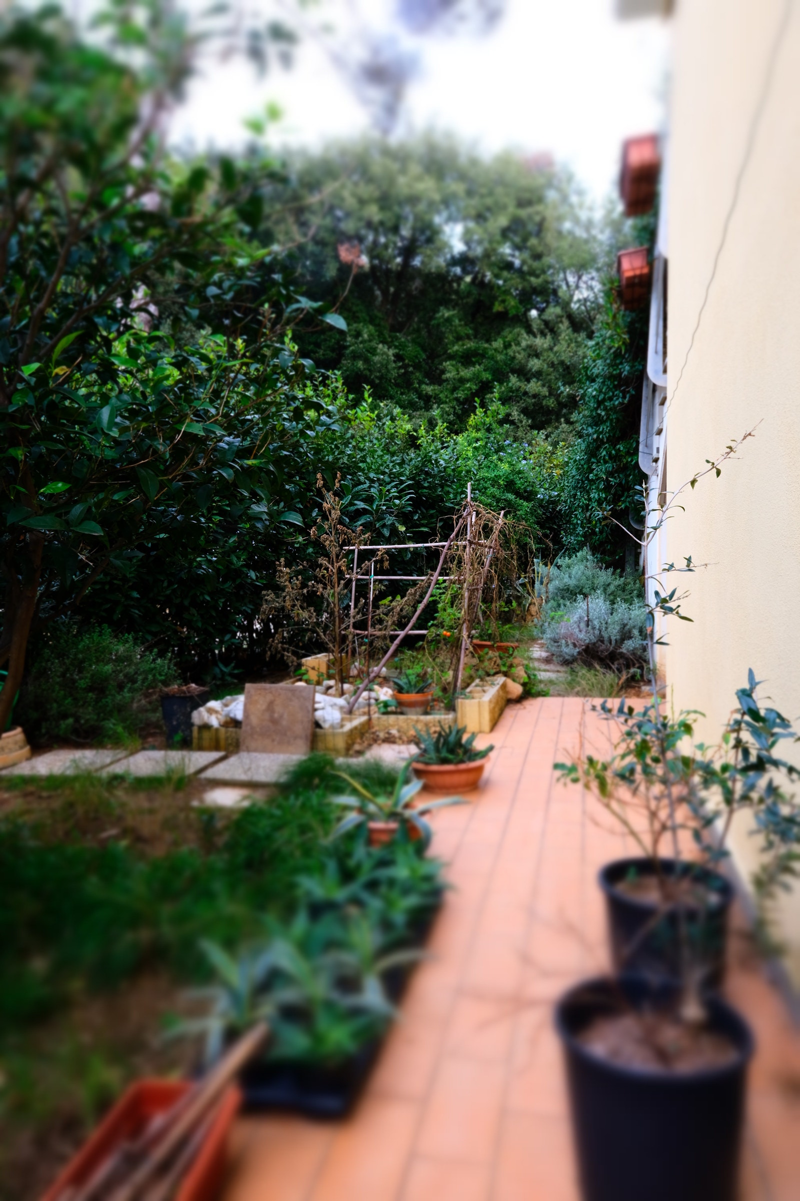 Hage ca 100 m2 tilhørende boligen Galleribilde