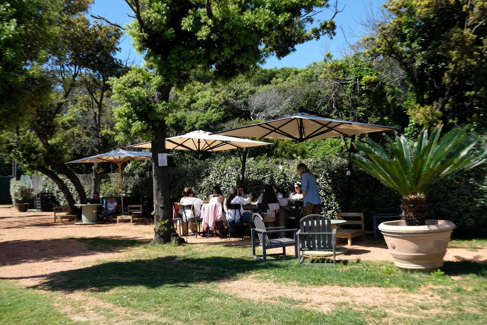 Quercianella, mange steder hvor en kan treffe folk og spise Galleribilde