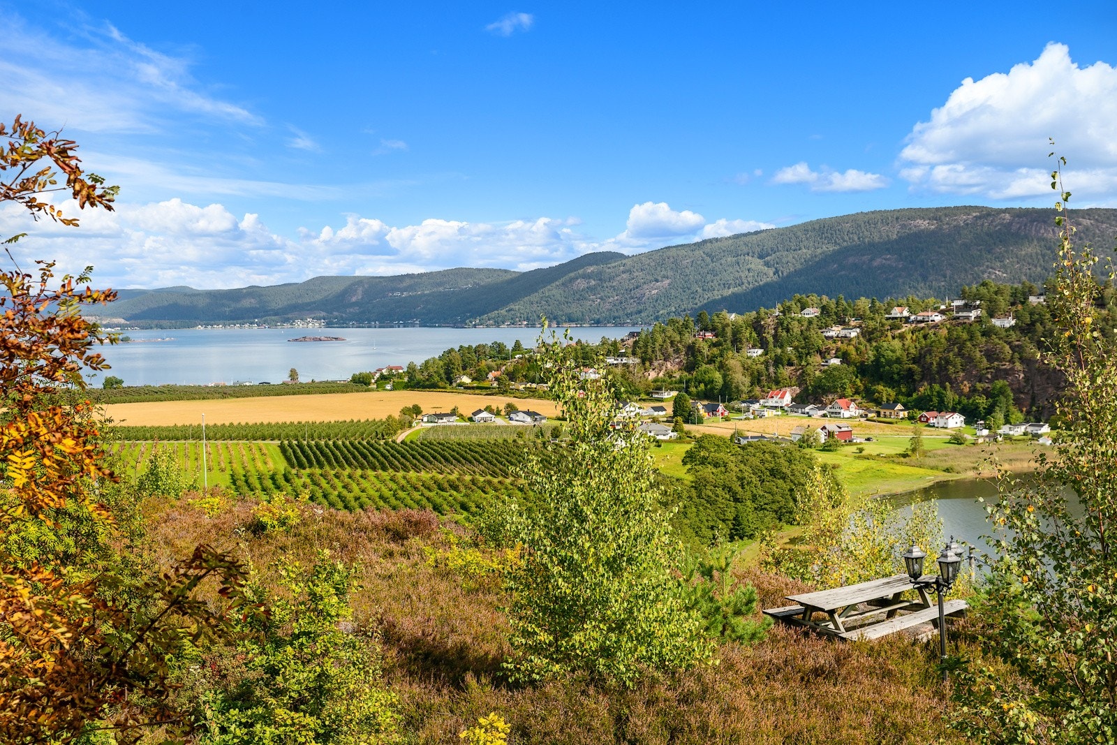 07utsiktny Galleribilde