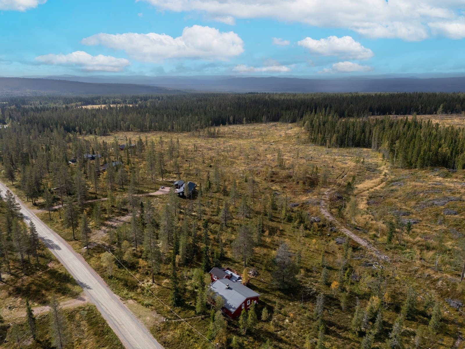 Velkommen til visning! Galleribilde