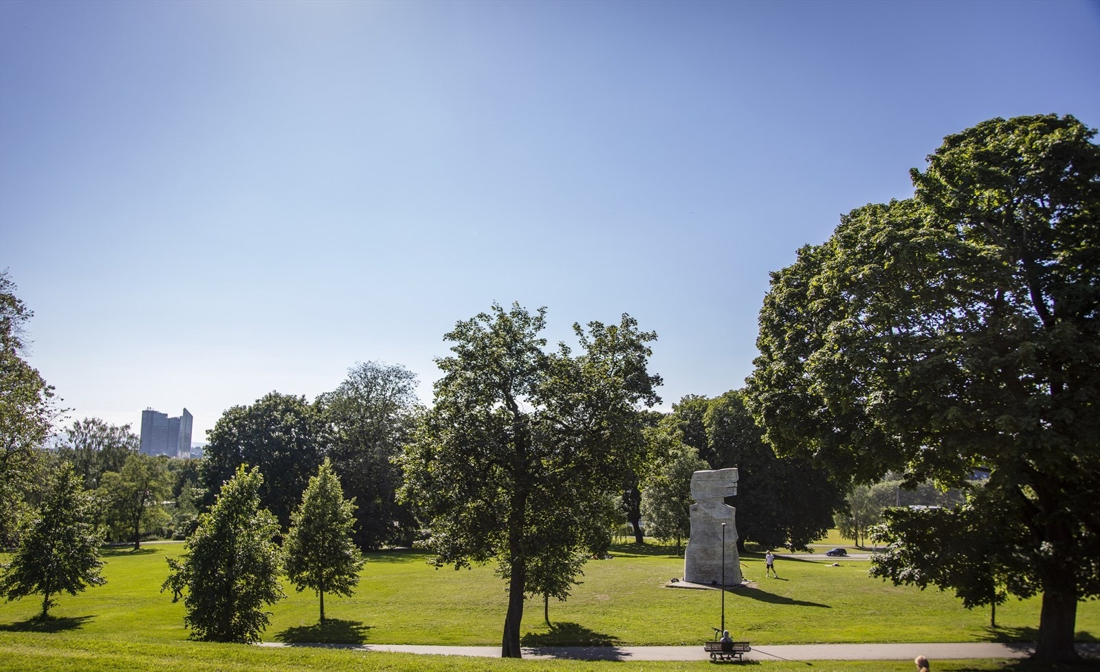 Områdebilde. Galleribilde