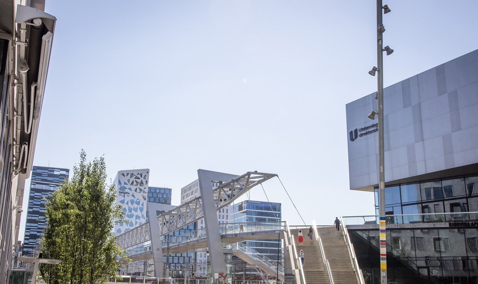 Områdebilde. Galleribilde