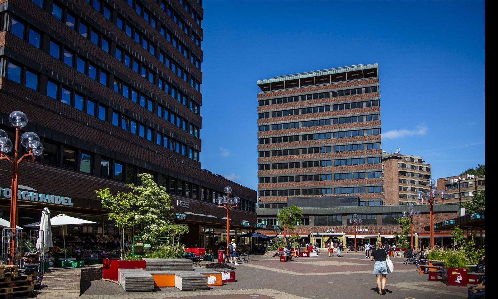 Områdebilde. Galleribilde