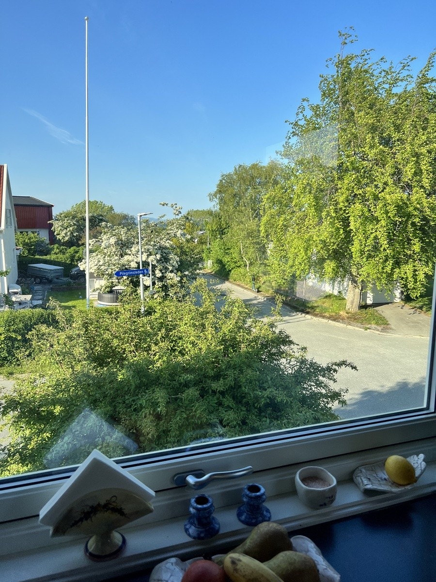 Rolige omgivelser Galleribilde