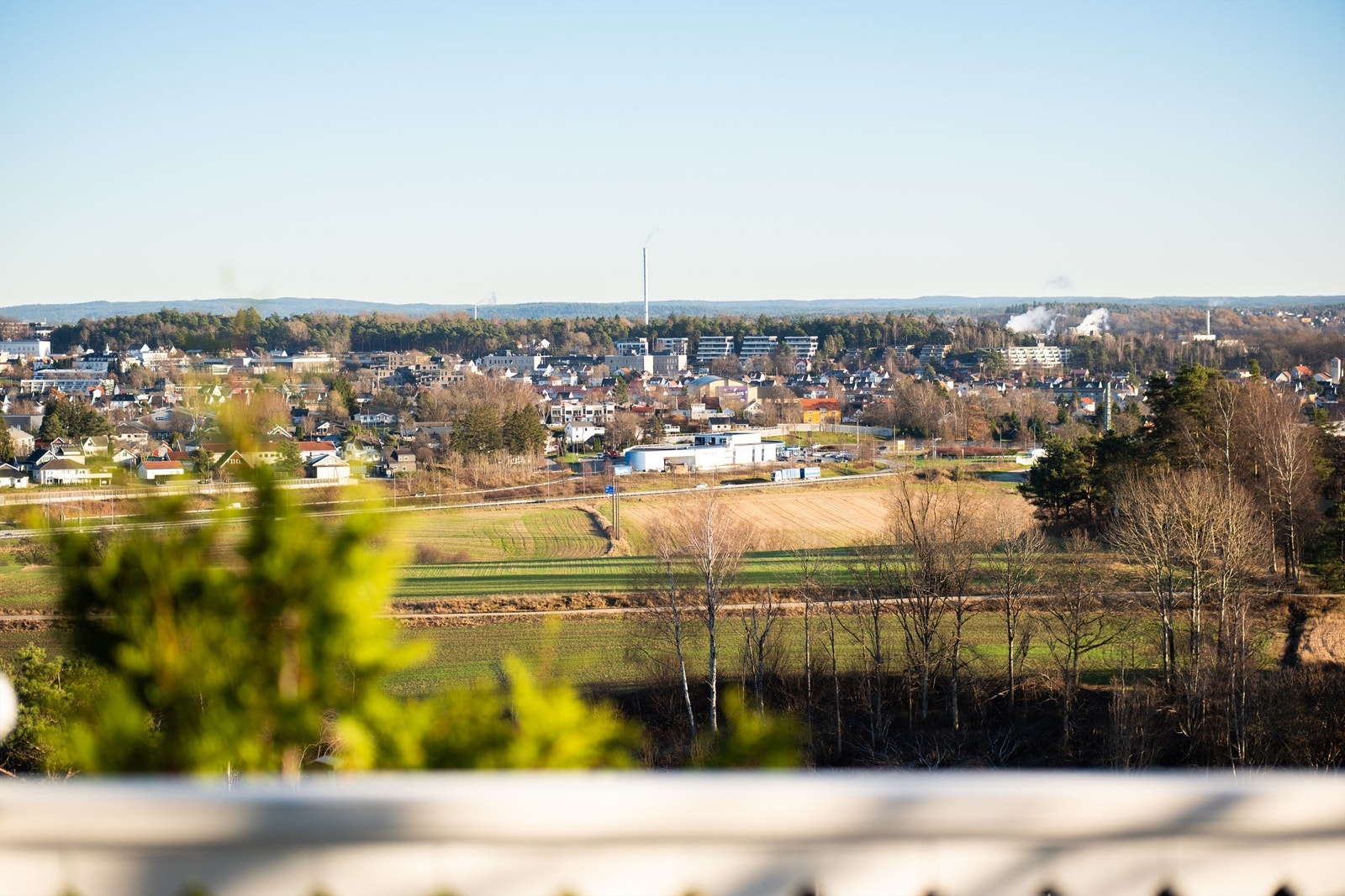 Utsikt fra terrassen til Kulåsparken og skogene i fylkets indre - fremhevet med zoom. Galleribilde