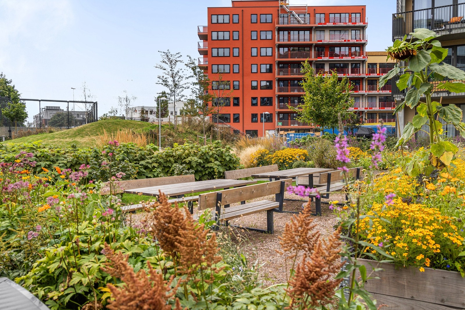 Borettslaget har grønne og frodige fellesarealer. Galleribilde