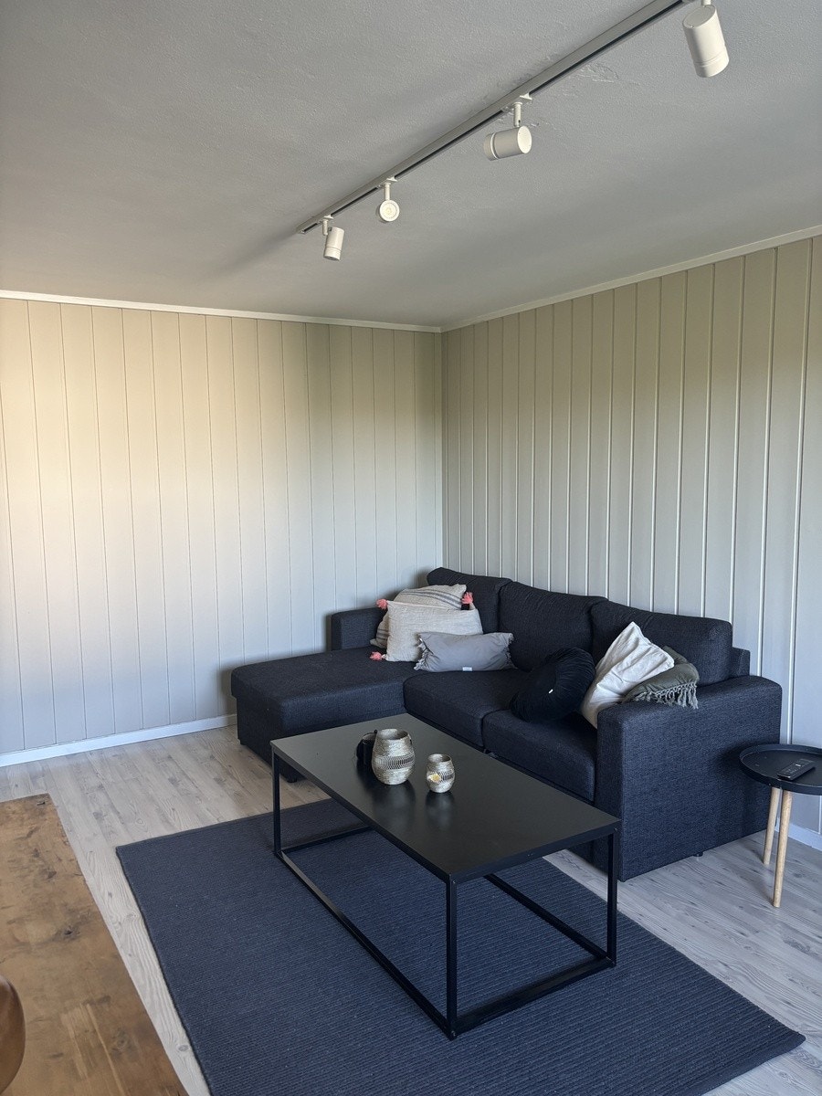 Stue med sovesofa og en ekstra stol-seng Galleribilde