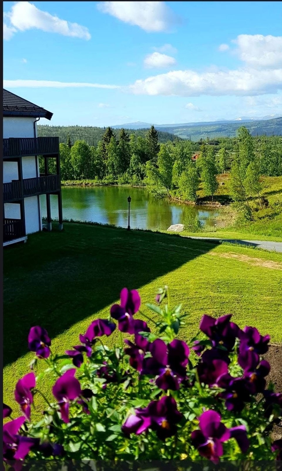 Fin utsikt til tjernet både fra stua og terrassen. Området rundt tjernet er en del av den store naturparken som tilhører sameiet. Galleribilde