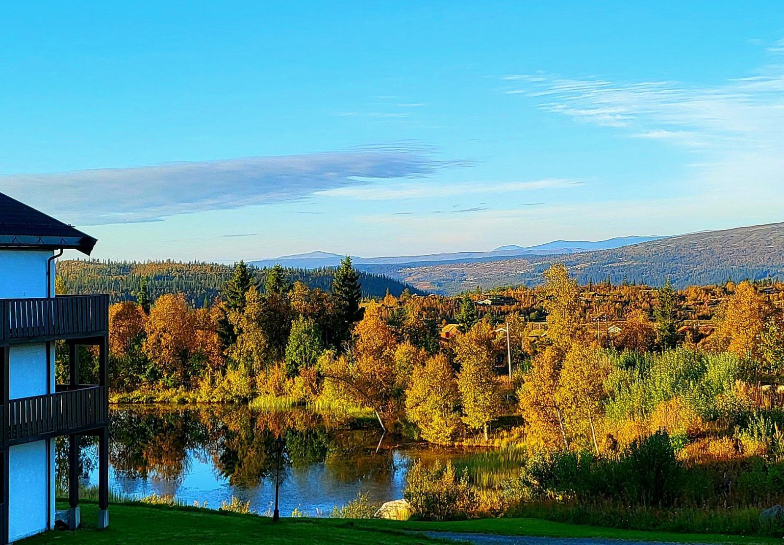 Fri utsikt til høstens fargeprakt! Galleribilde