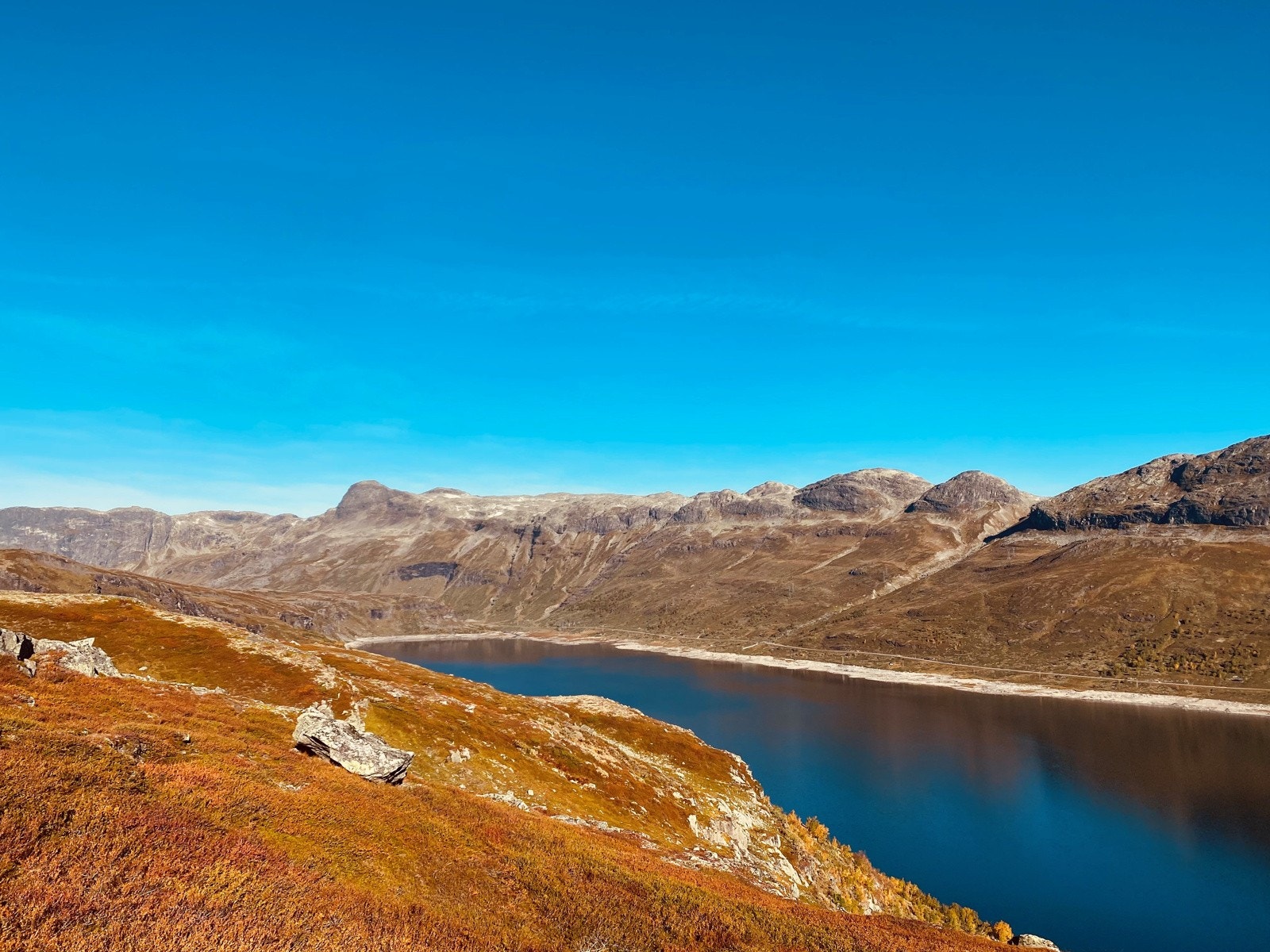 Området på andre siden av vannet for hytta. Galleribilde