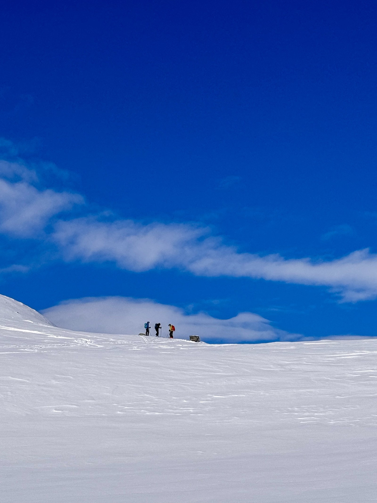 Selgers private bilder Galleribilde