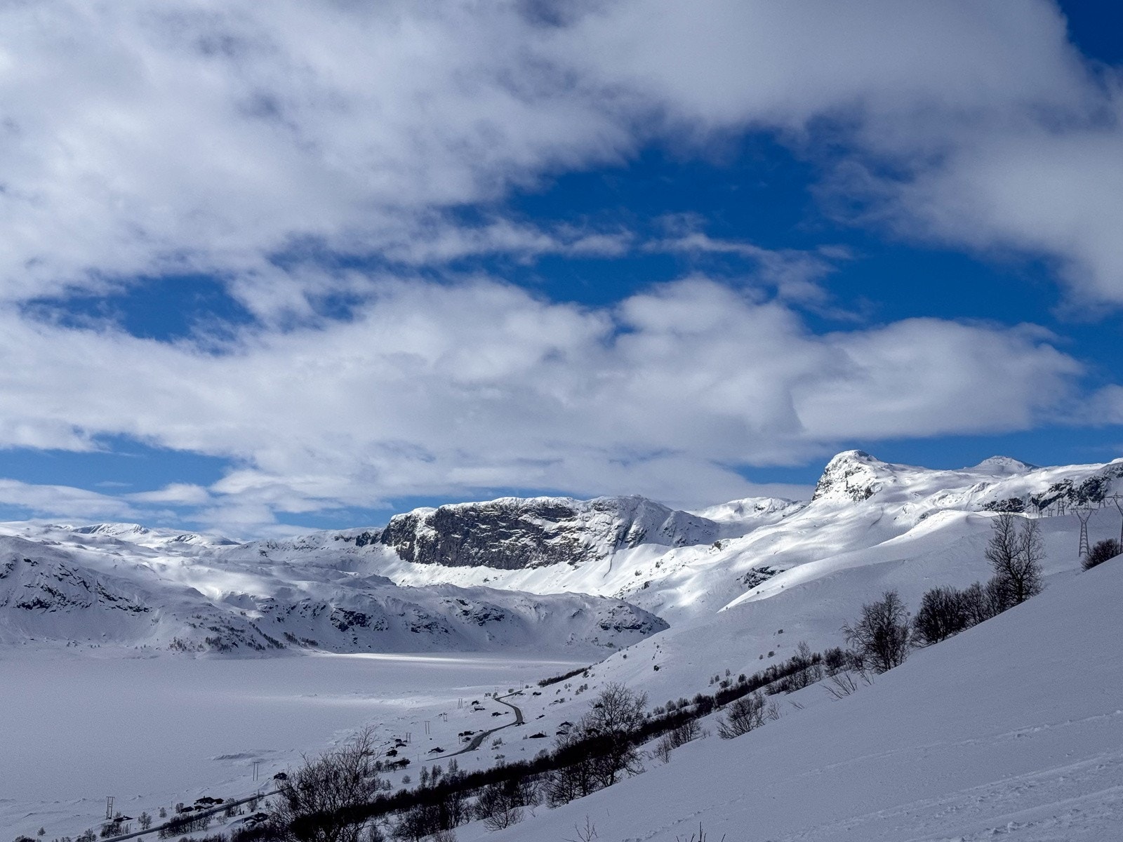 Selgers private bilder Galleribilde