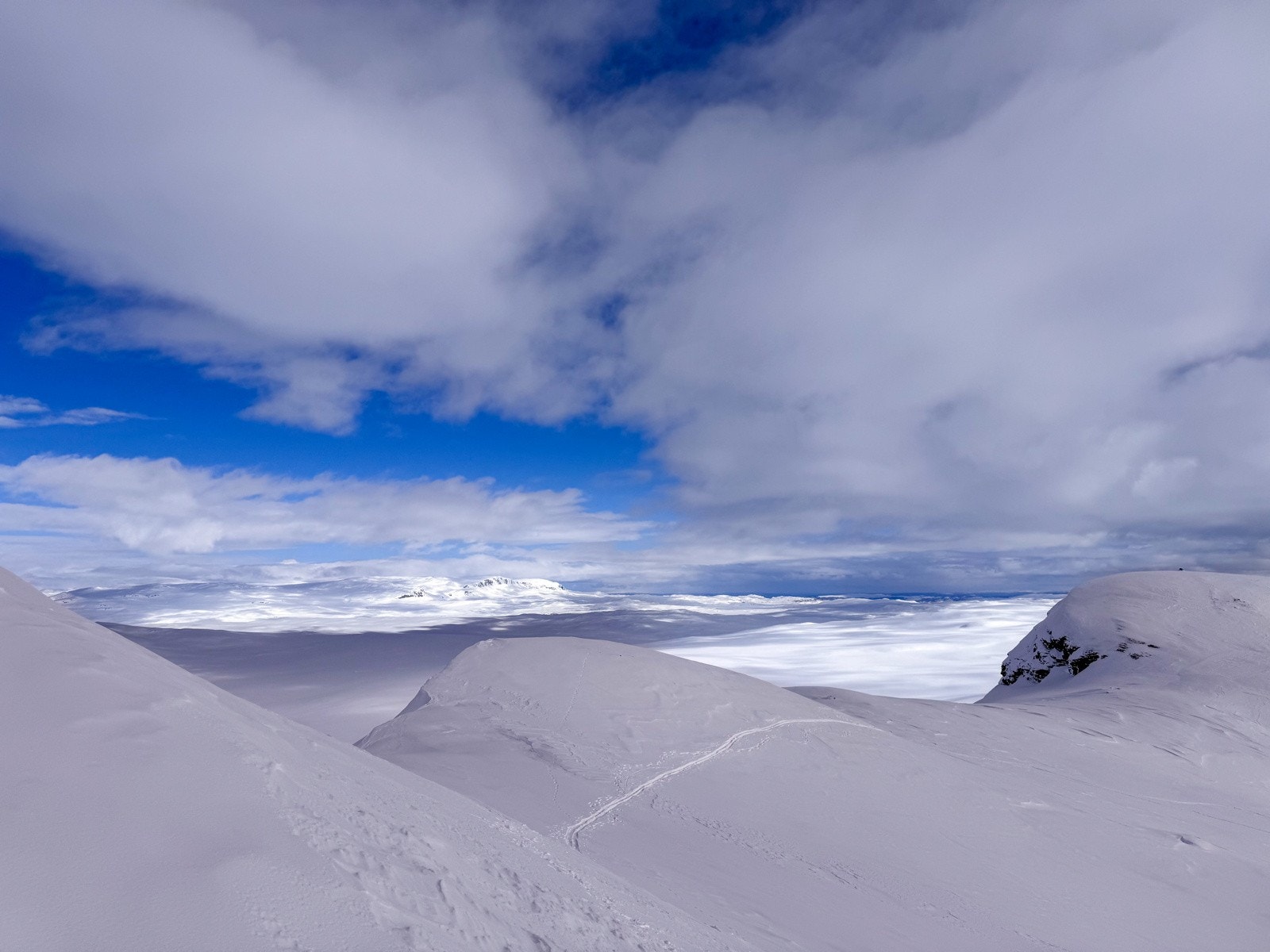 Selgers private bilder Galleribilde