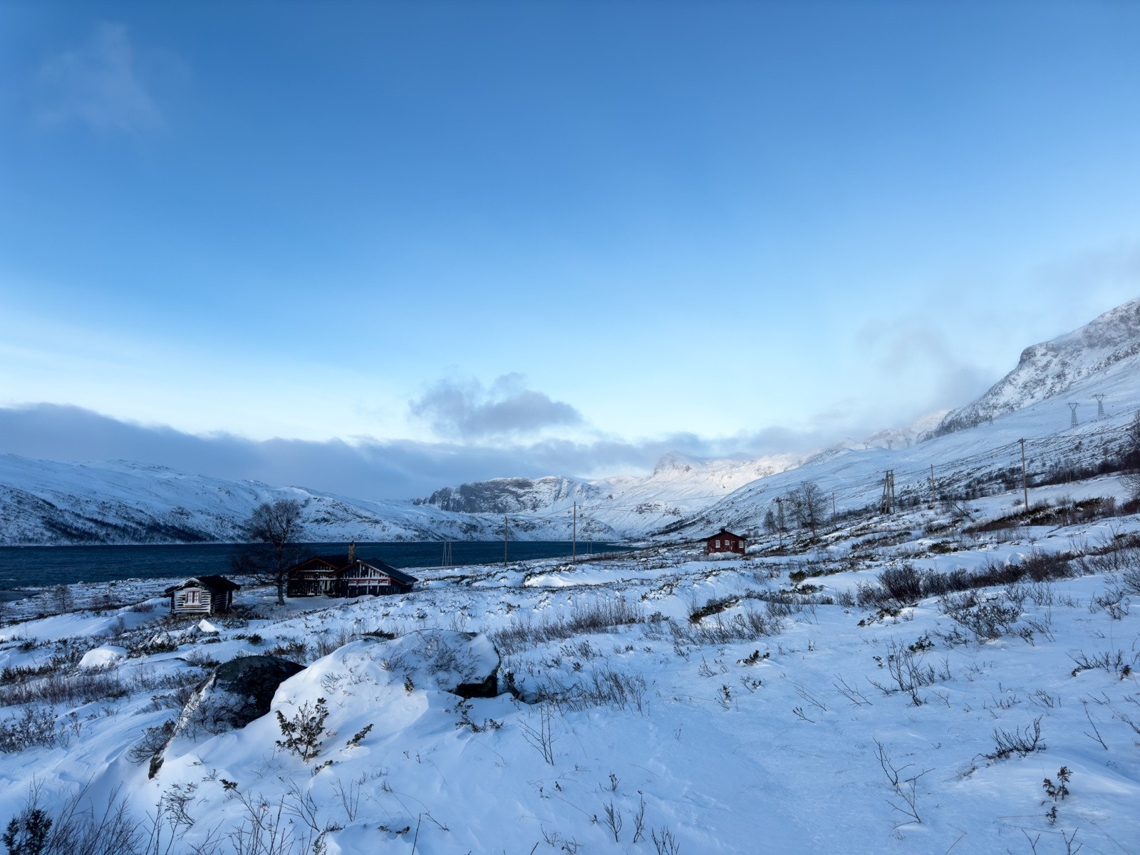 Selgers private bilder Galleribilde