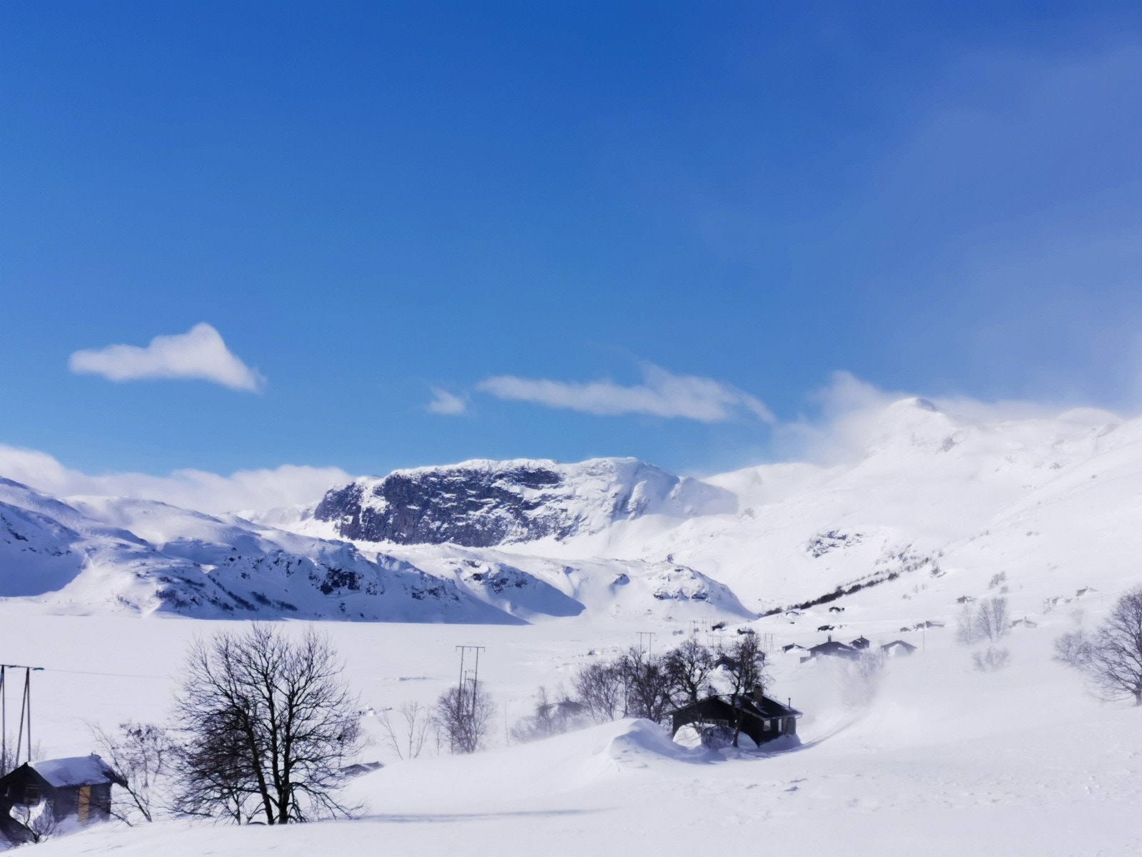 Selgers private bilder Galleribilde