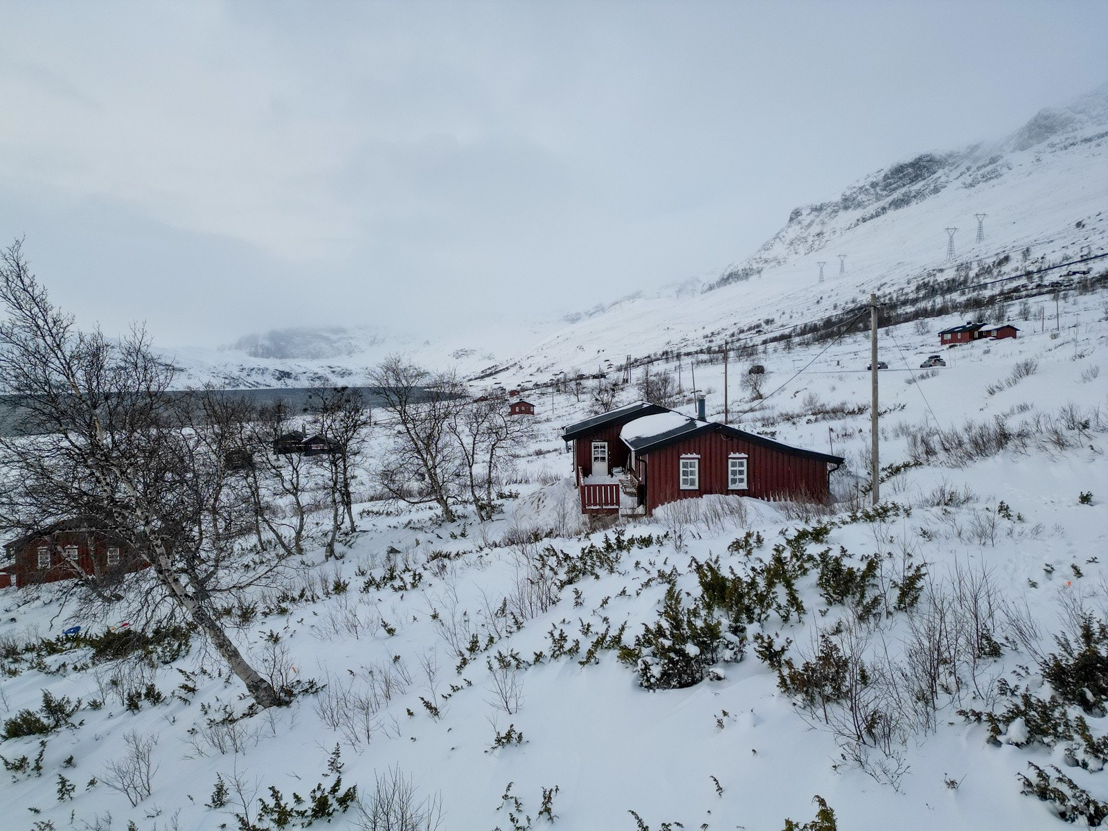 Selgers private bilder Galleribilde