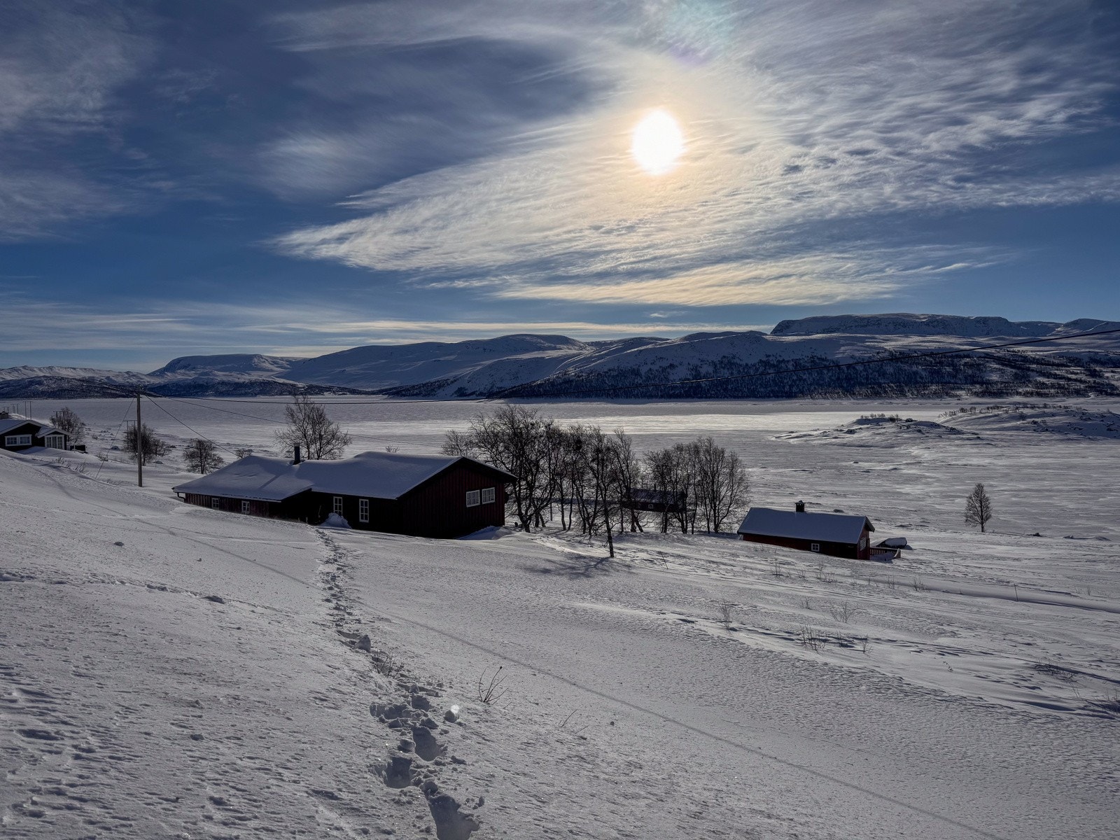 Selgers private bilder Galleribilde