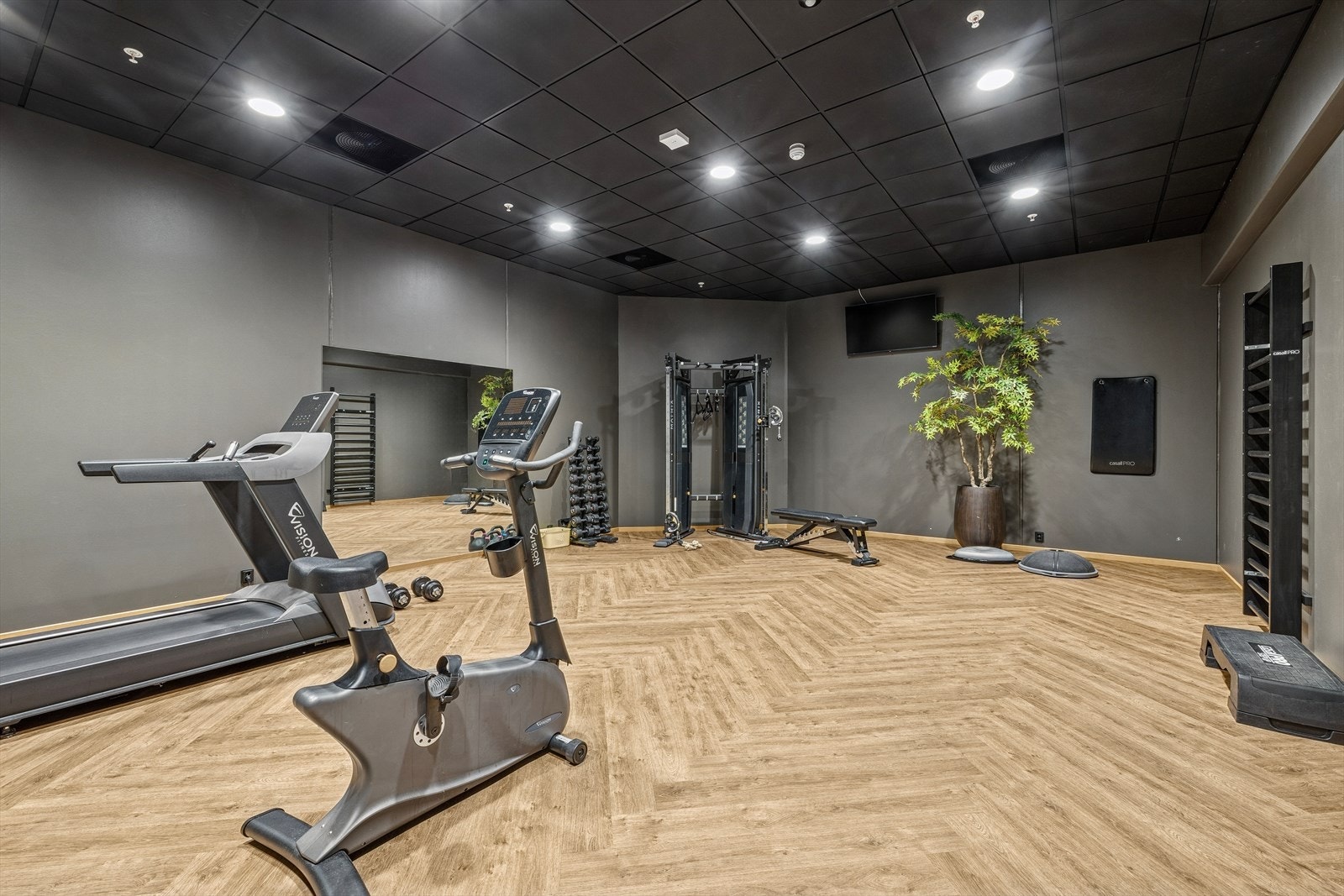 Beboerne kan også fritt benytte seg av et velutstyrt og topp moderne treningsrom i sameiet. Galleribilde