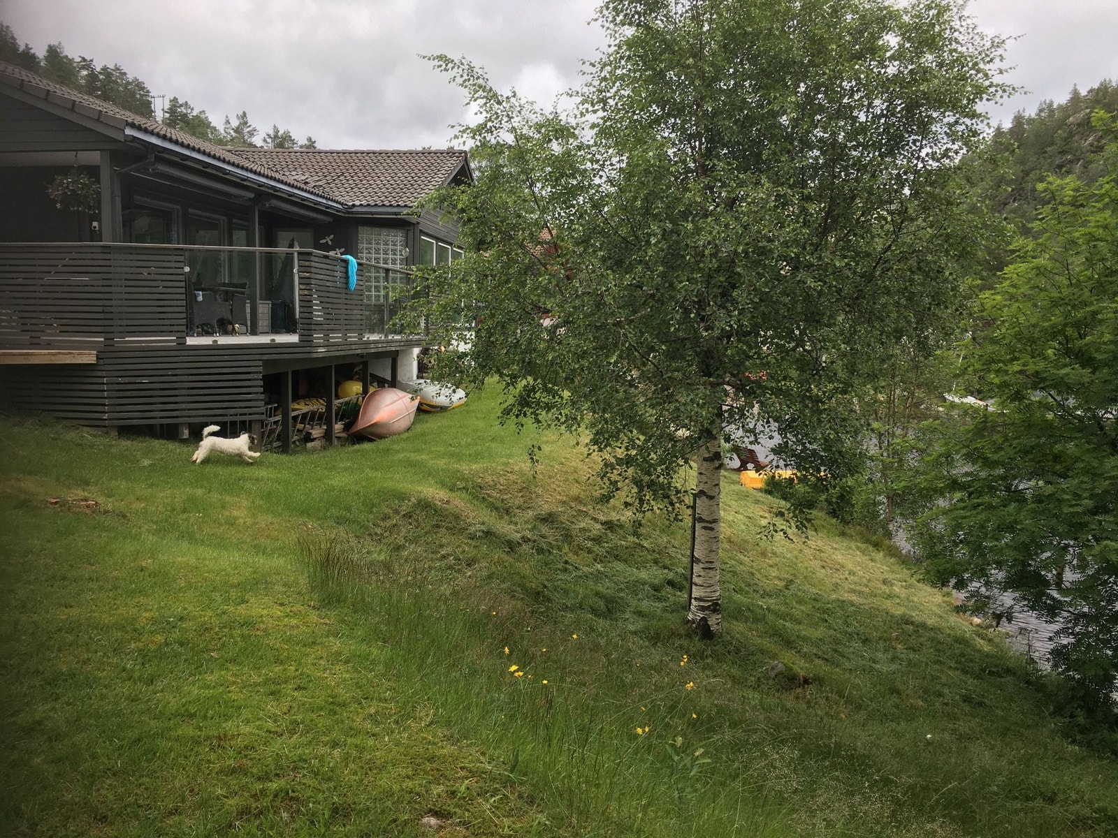 Fra enden av tomten ned mot vannet Galleribilde