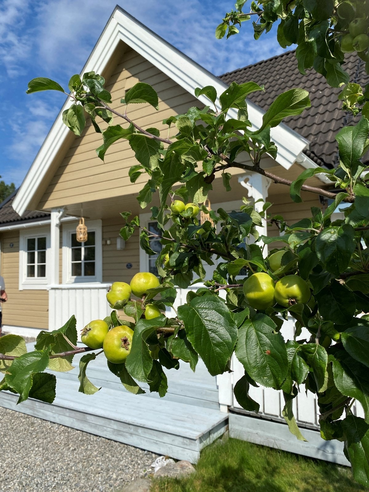 Epler i Sløssåsveien 22 - Selgers private bilde Galleribilde