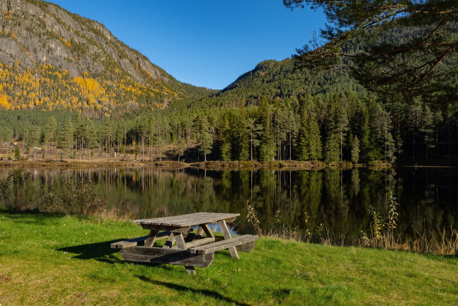 Campingområde med vakker natur i umiddelbar nærhet Galleribilde