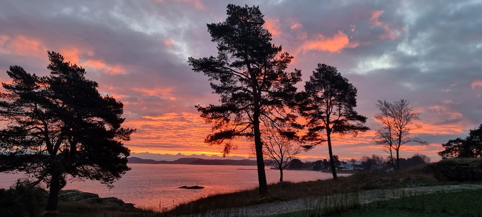 Nyt spektakulære farger på himmelen ved sjøen Galleribilde