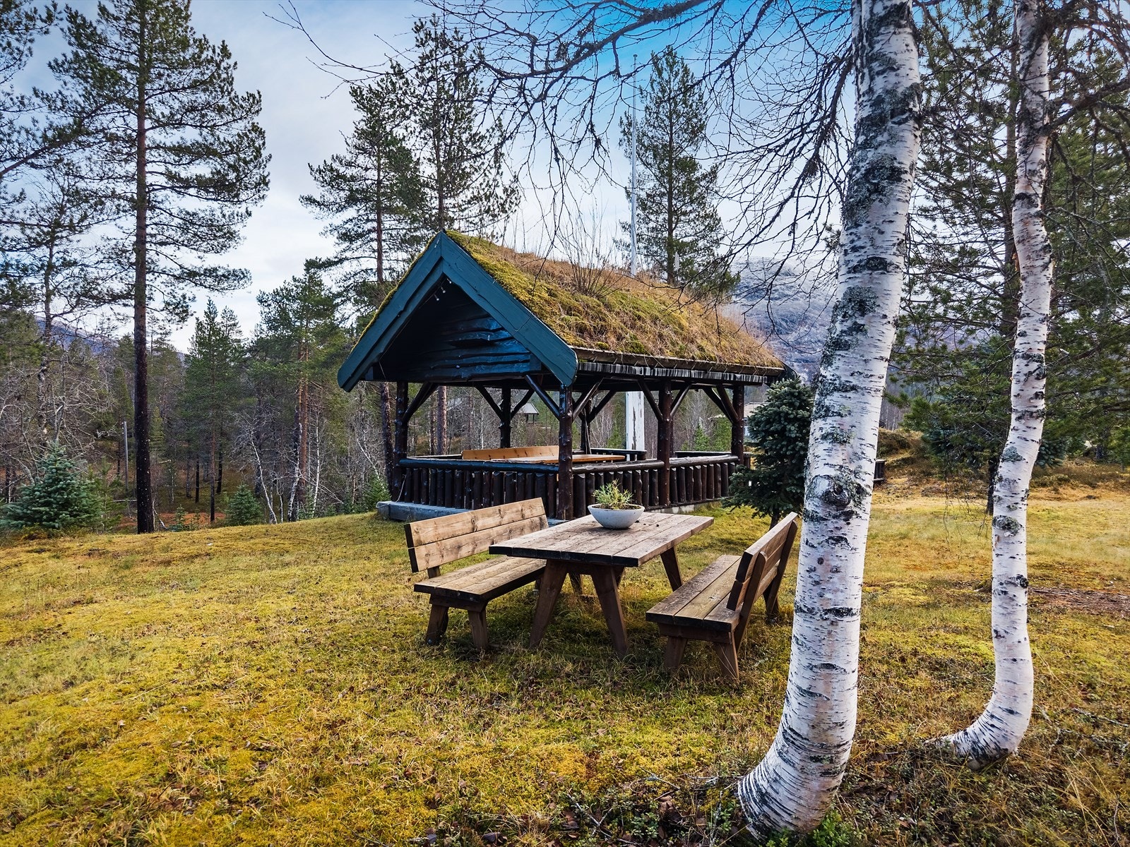 Fellesområde for Mjølfjell Tun Vel Galleribilde