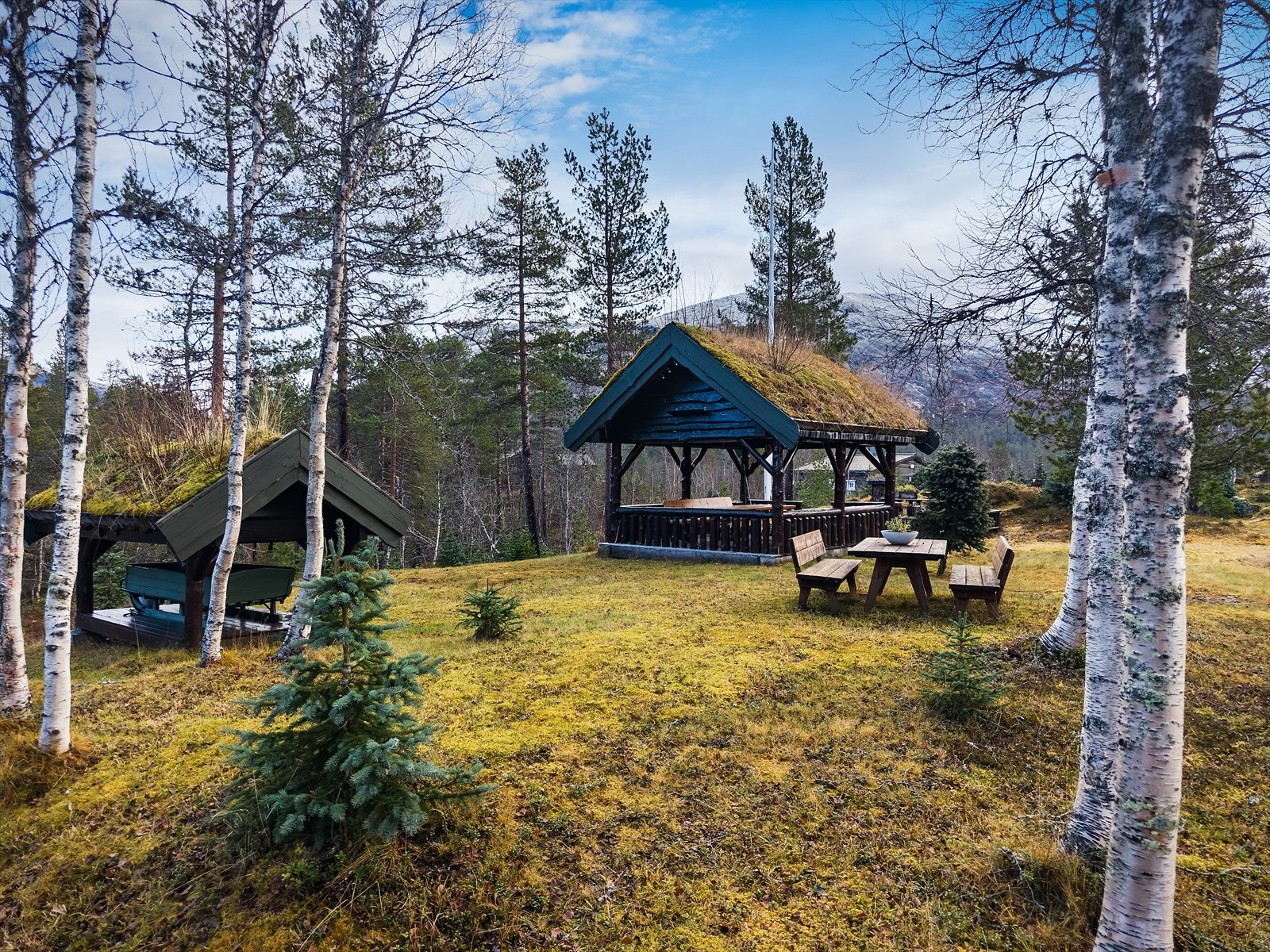 Fellesområde for Mjølfjell Tun Vel Galleribilde