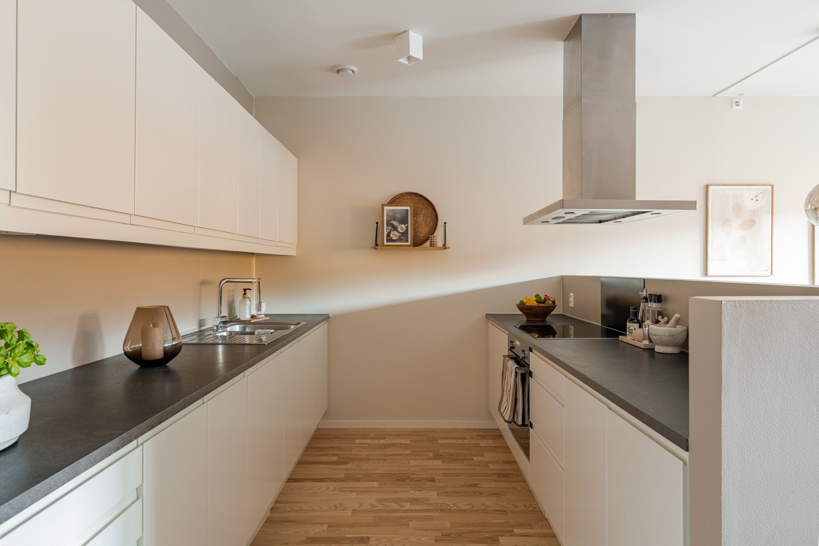 Integrerte hvitevarer består av induksjonsplatetopp, stekeovn og oppvaskmaskin. Galleribilde