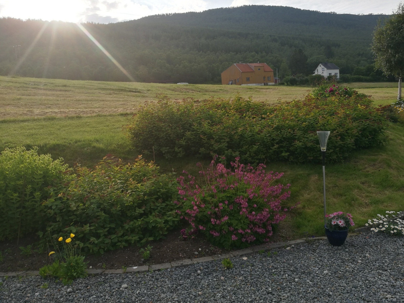 Skrående og flott tomt med flere beplantinnger. Galleribilde
