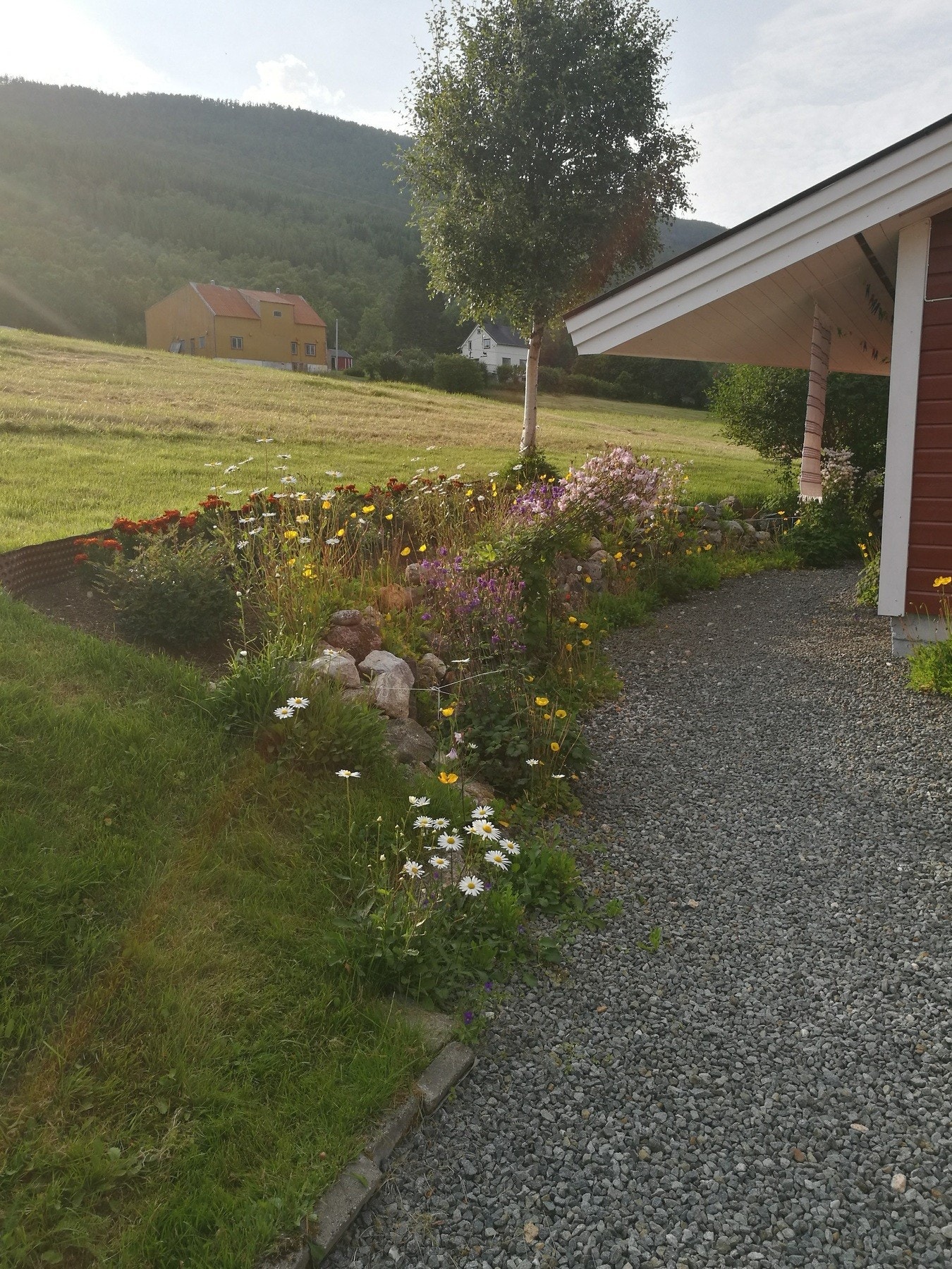 Stemningsbilde av blomsterbed fra selger. Galleribilde