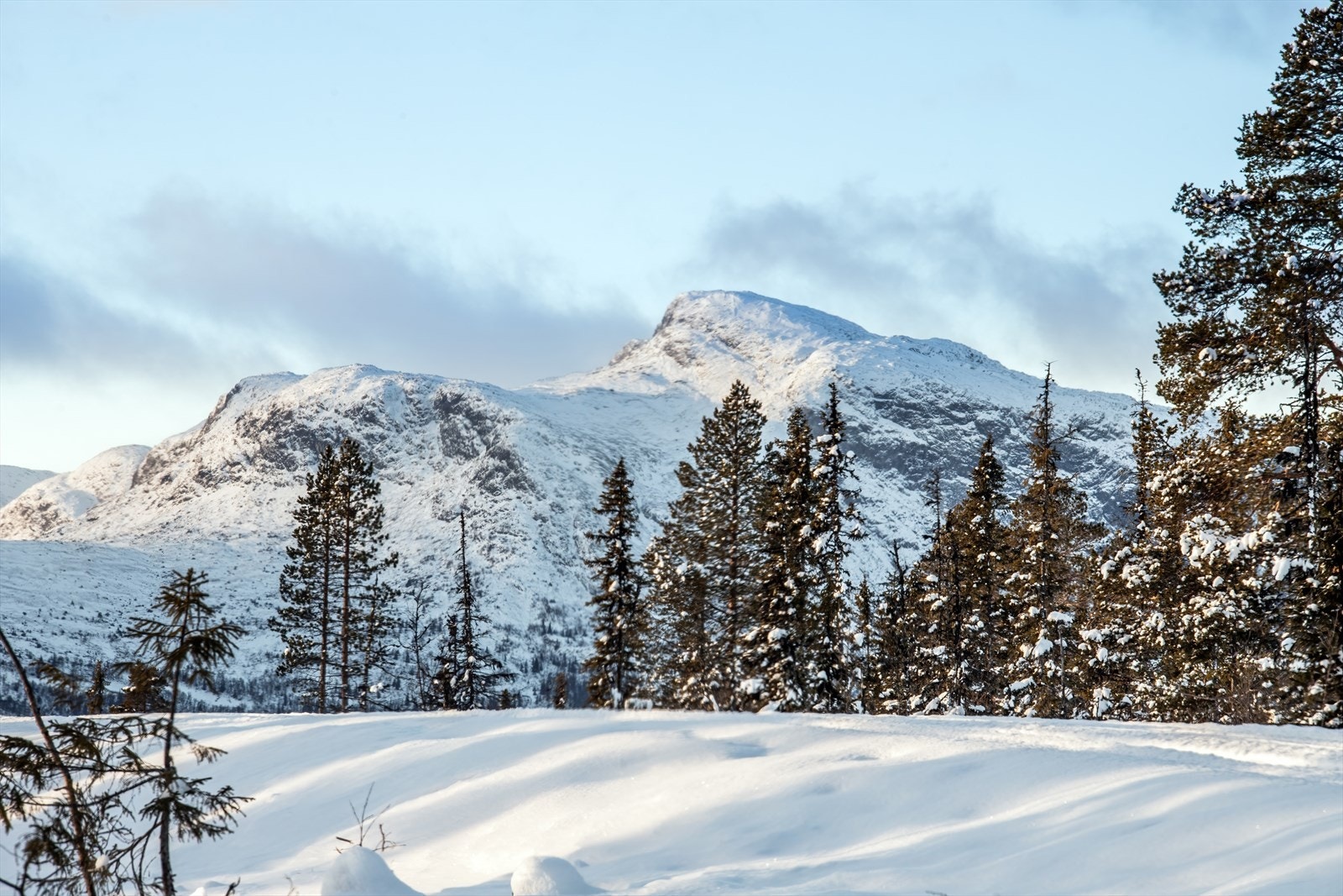 Velkommen har flotte utsiktstomter ved Strupa- Gravset. Foto Aurelijus Norvaisas. Galleribilde