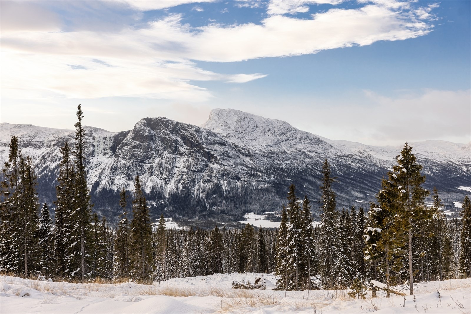 Ta kontakt med megler for visning. Velkommen til fjells! Galleribilde