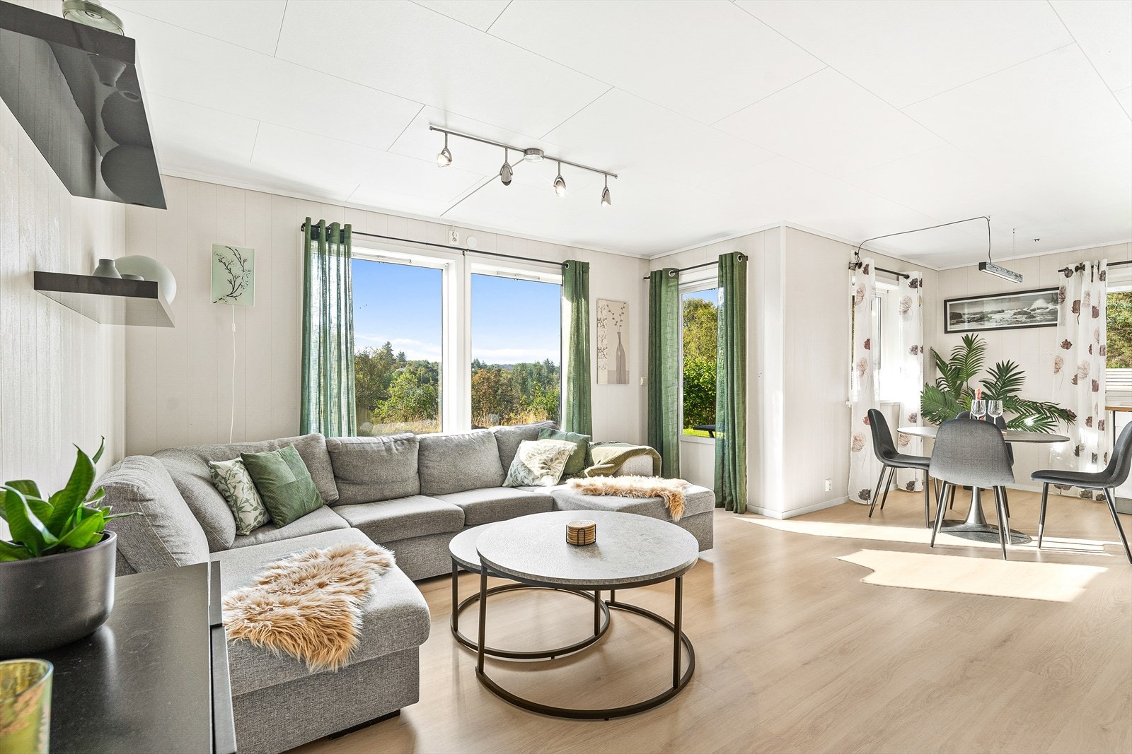 Lys og romslig stue med store vinduer som gir rikelig med naturlig lys Galleribilde