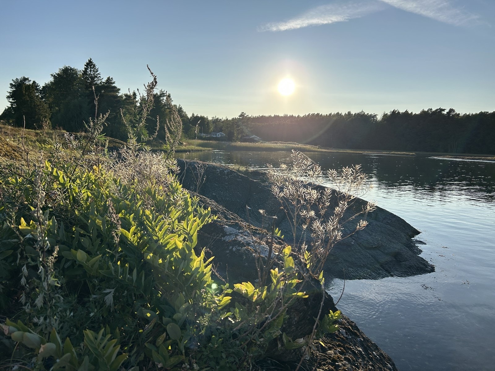 Selgers bilder Galleribilde