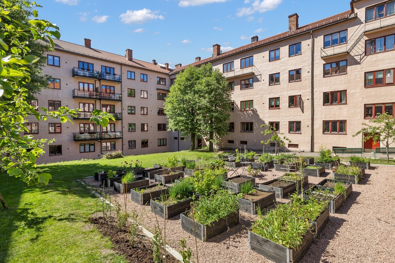 Parsellhage ble etablert våren 2023. Plantekassene kan leies for en symbolsk sum. Galleribilde