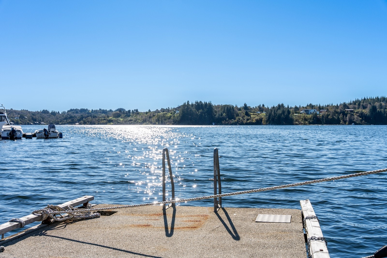 Lite slår et forfriskende morgenbad fra egen brygge på varme sommerdager. Galleribilde