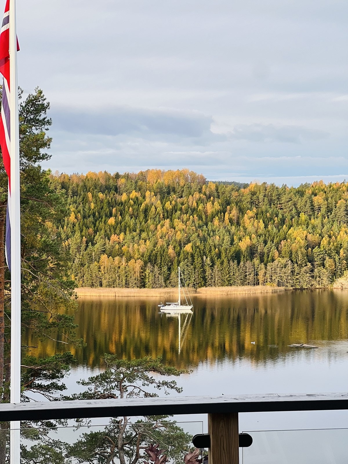 Flott utsikt til fjorden fra veranda (tatt av selger) Galleribilde