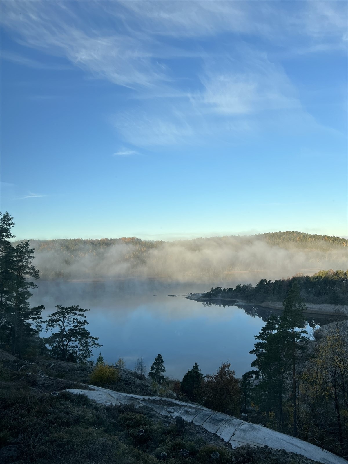 (tatt av selger) Galleribilde