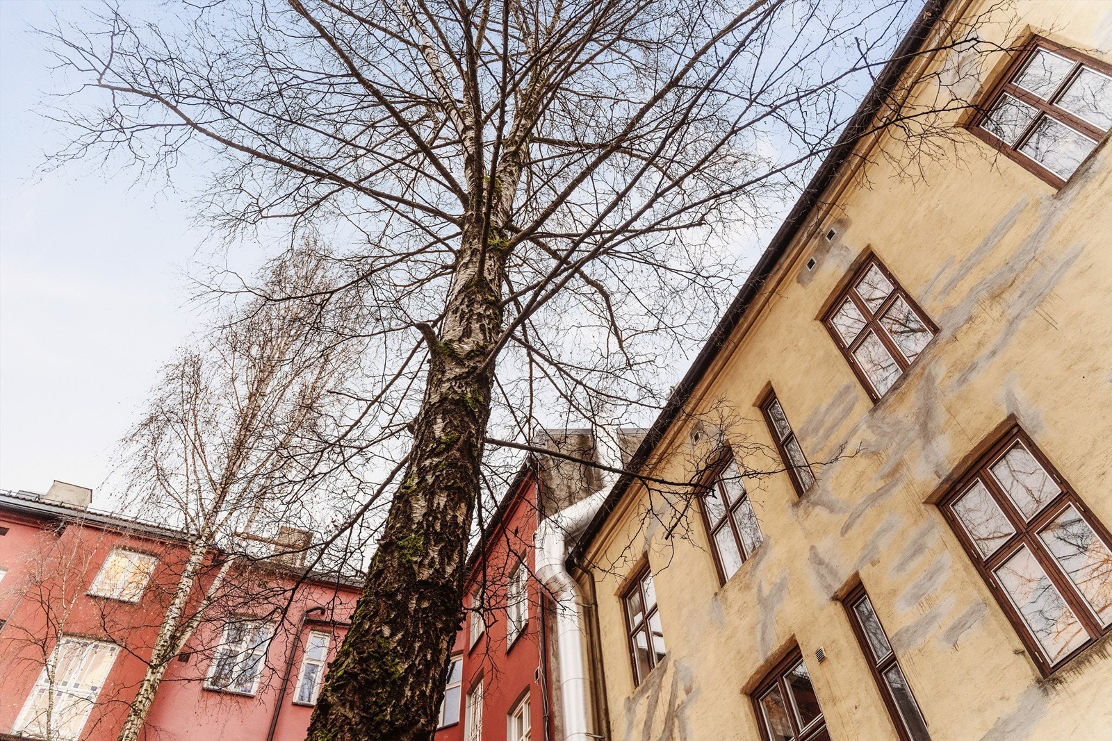 I nabolaget rundt leiligheten finner du alt du trenger av fasiliteter. Galleribilde