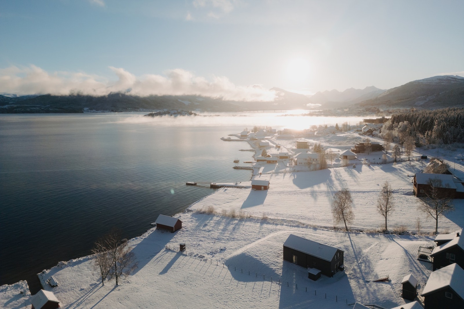 Gode solforhold på tomten Galleribilde