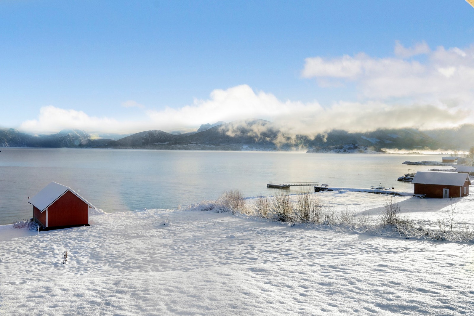 Stor, solrik tomt med strandlinje Galleribilde