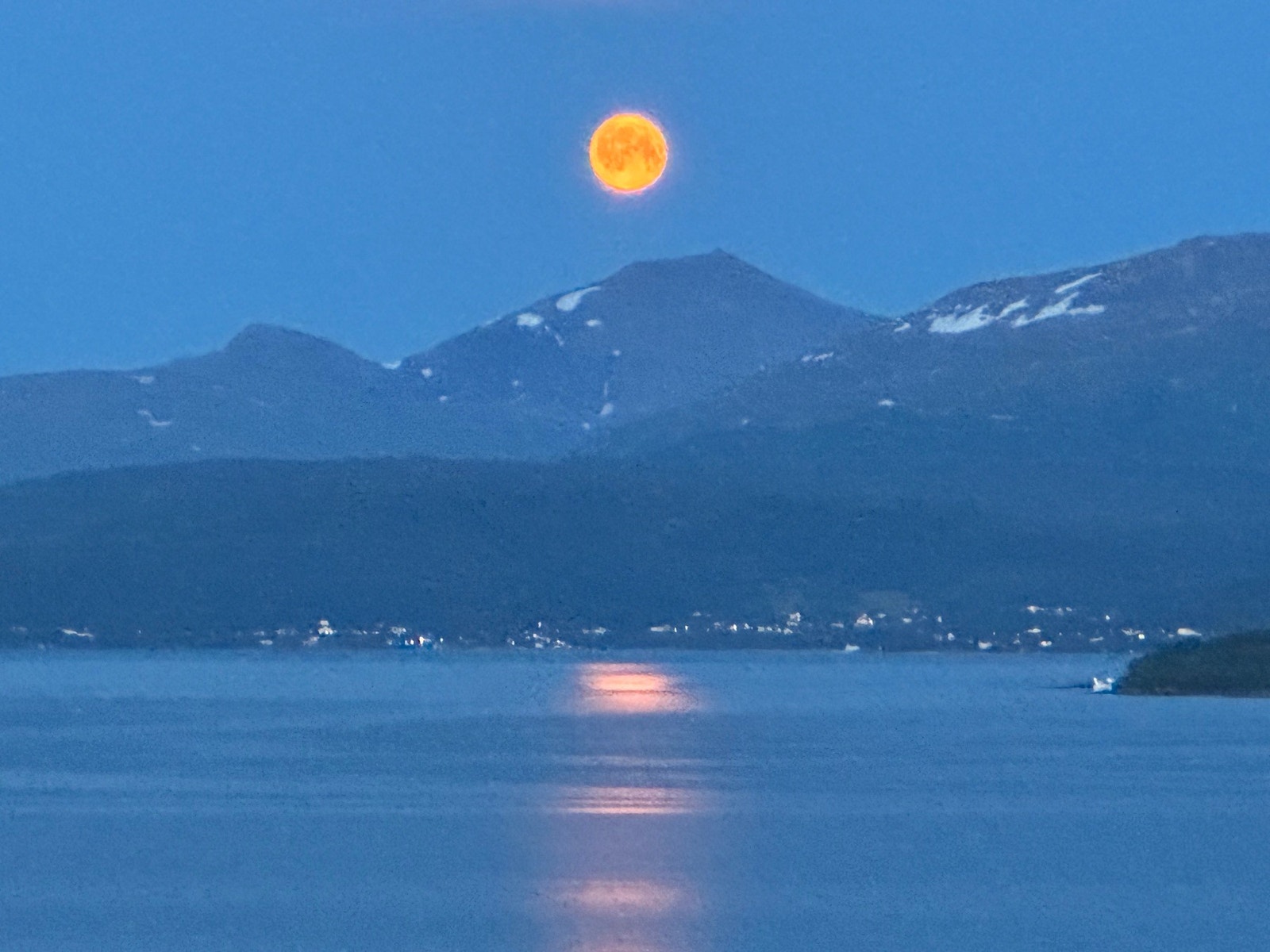 Selgers private bilder Galleribilde