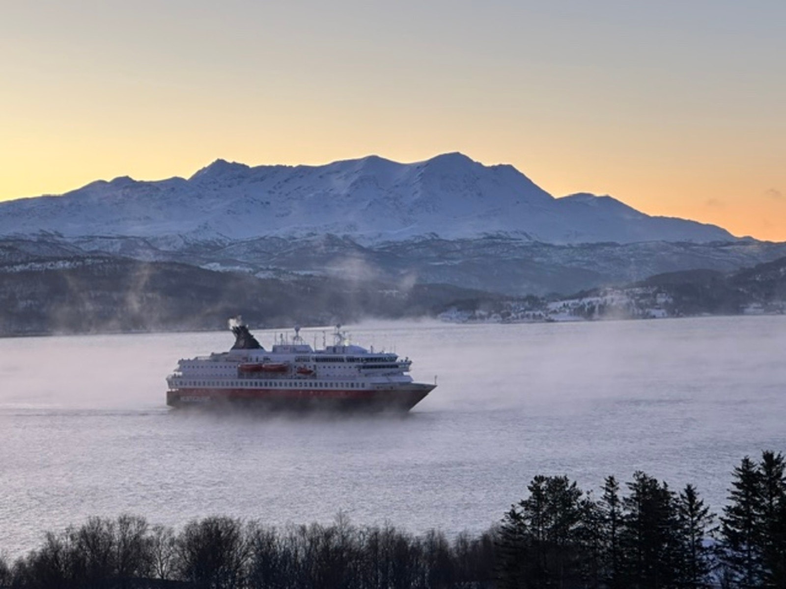 Selgers private bilder Galleribilde