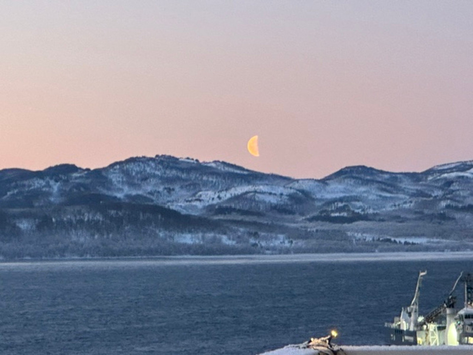 Selgers private bilder Galleribilde