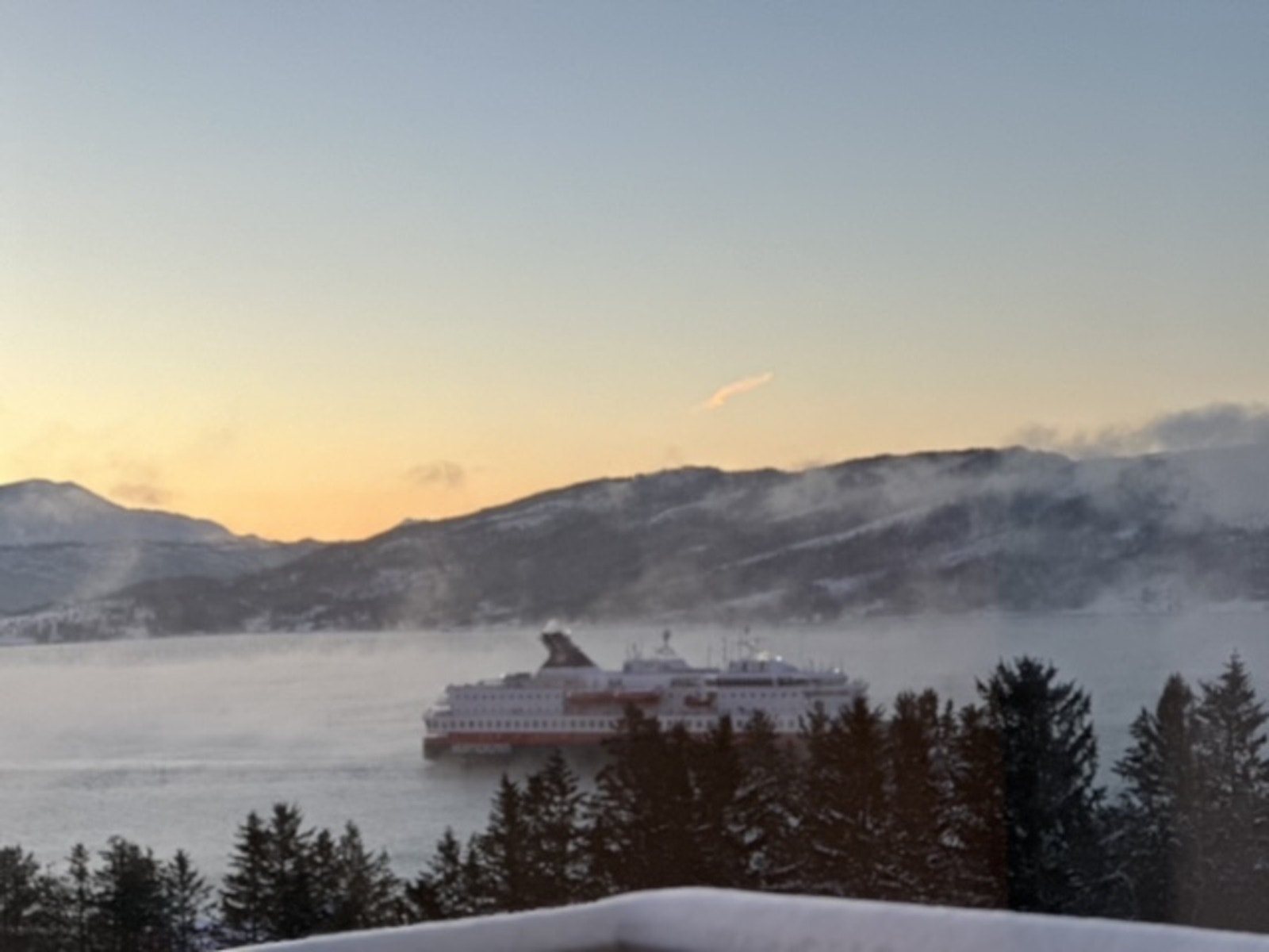 Selgers private bilder Galleribilde