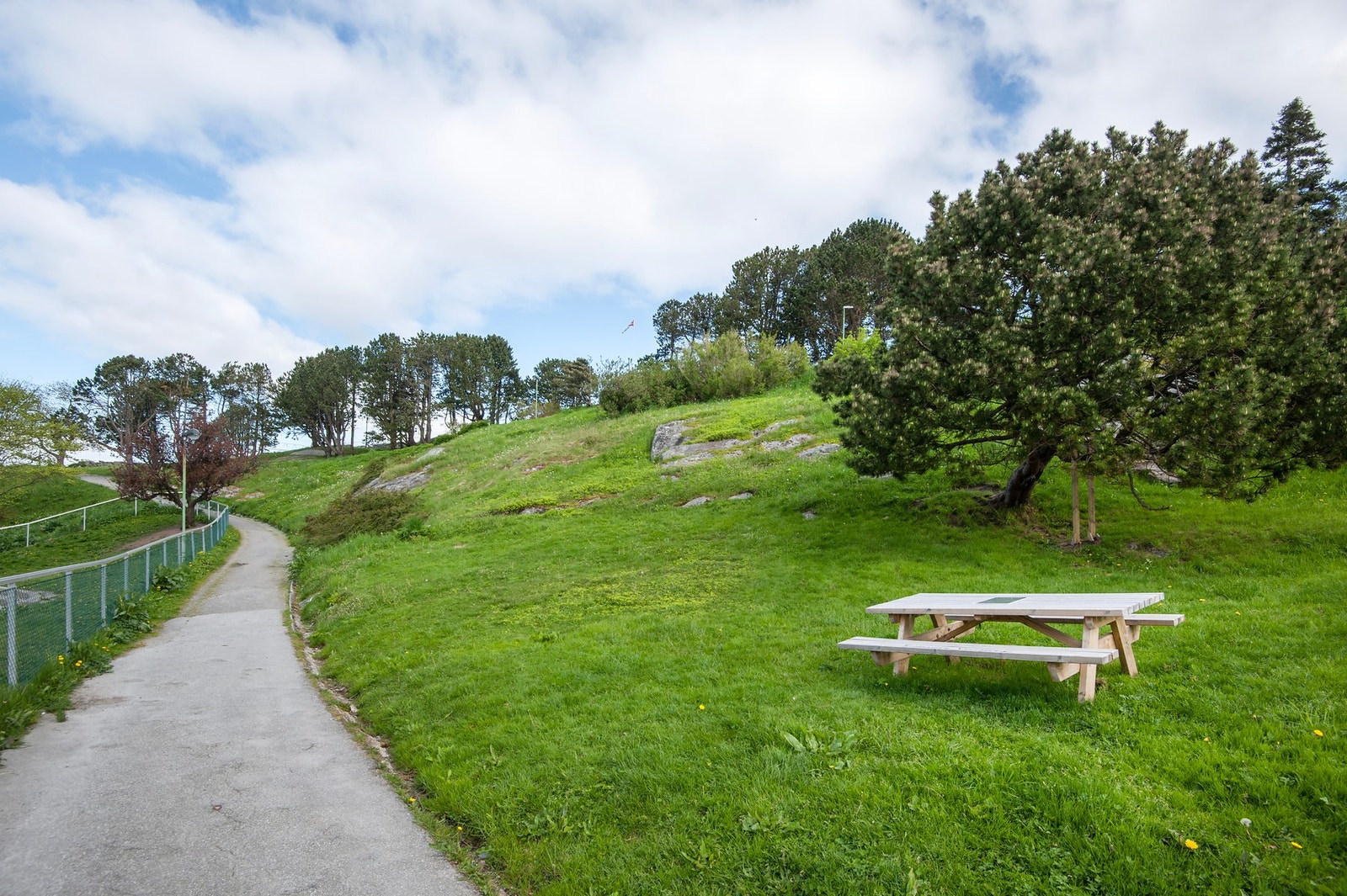 Kort vei både til dagligvarebutikk og bensinstasjon/kiosk. Galleribilde